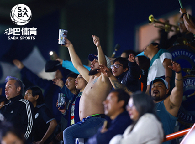 伯明翰公布新主场方案